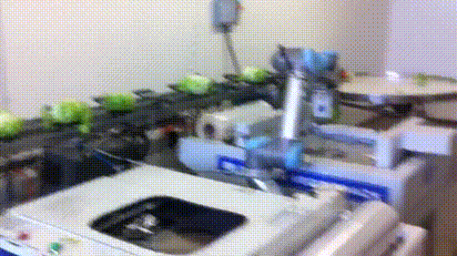 3.gif